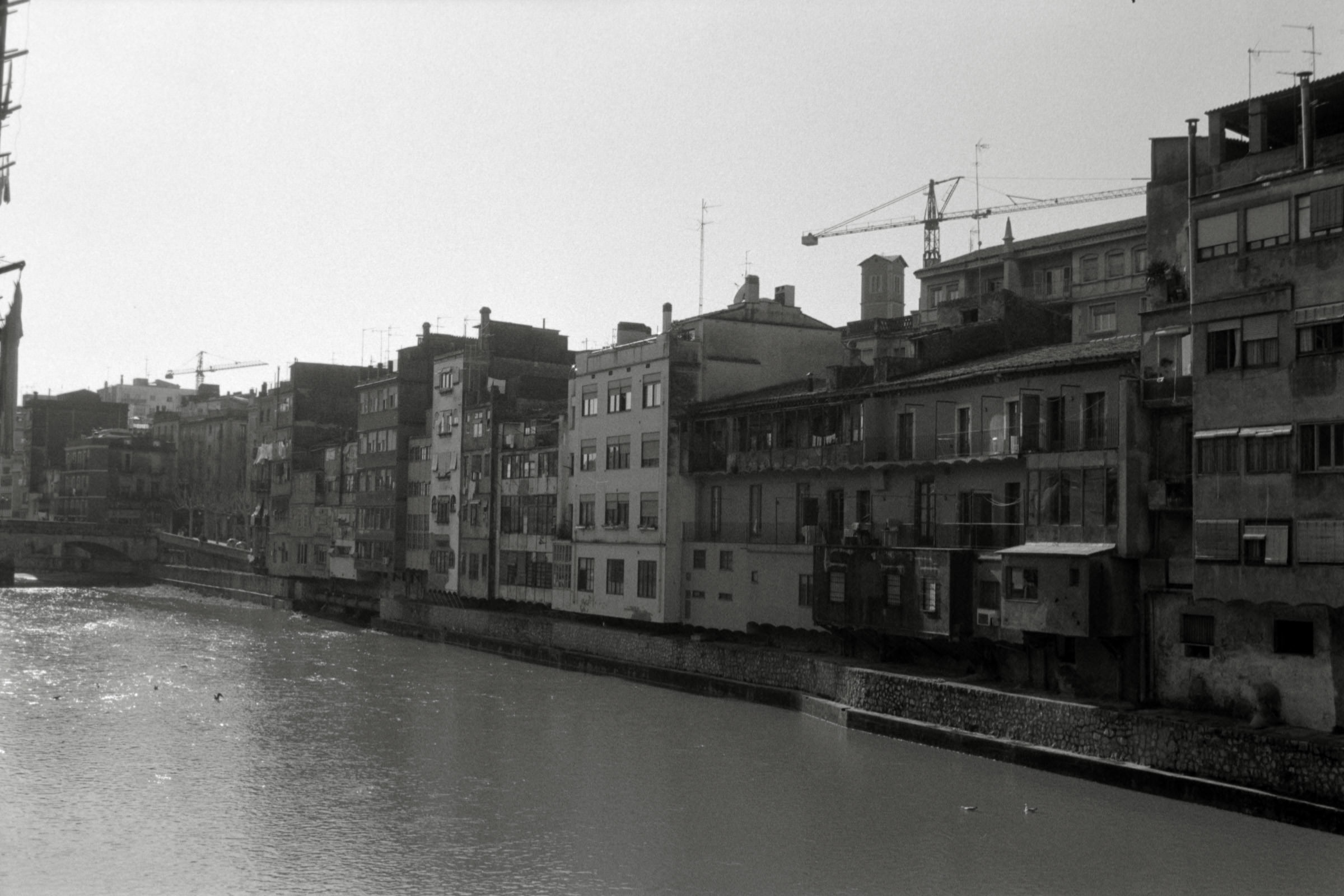 AHP F1996 02 001 sc240816 img05 NLP